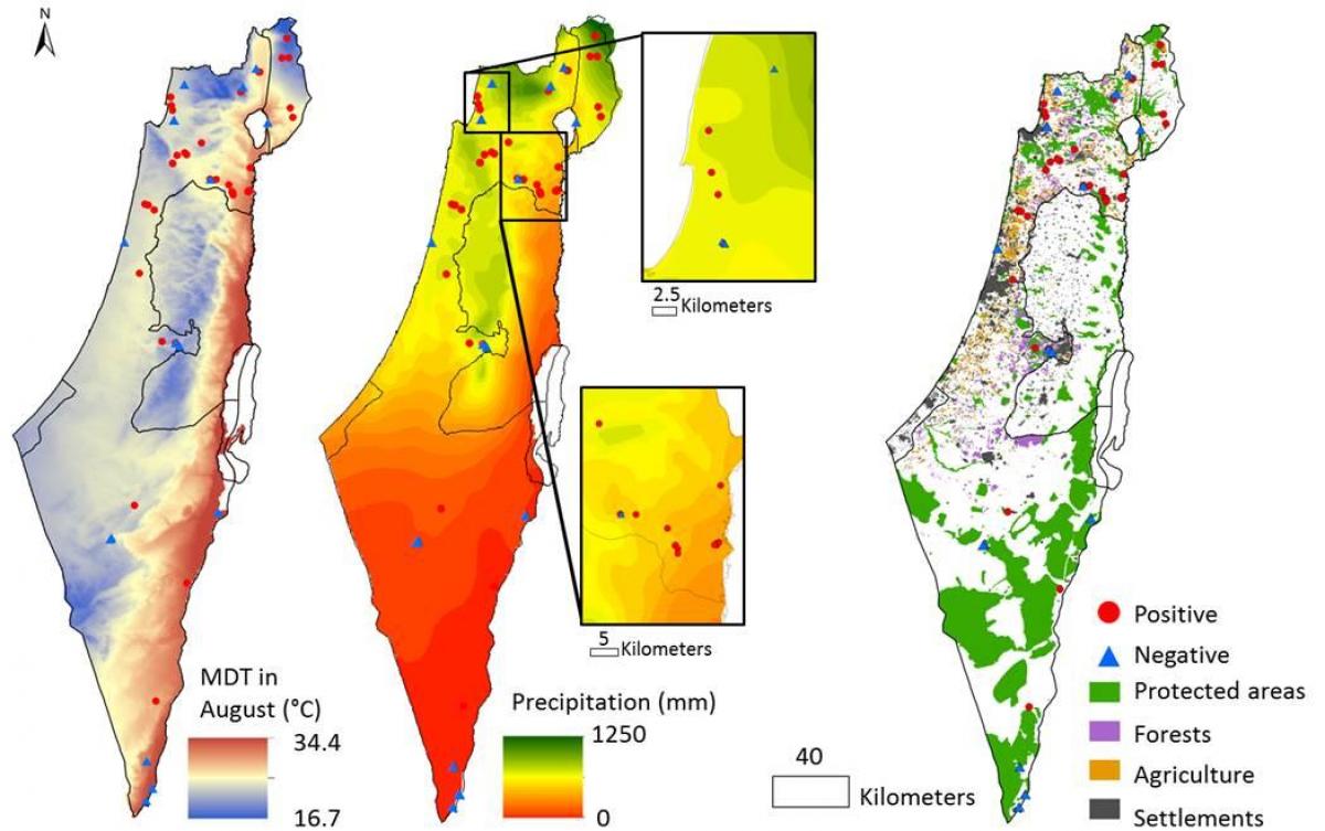 карта Ізраіля клімату